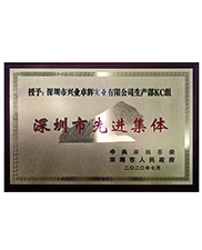 深圳市先进集体