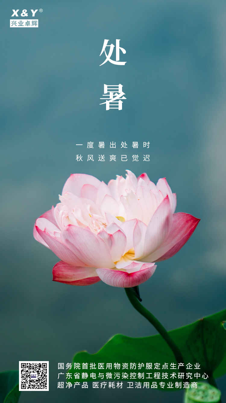 2024处暑(5).jpg