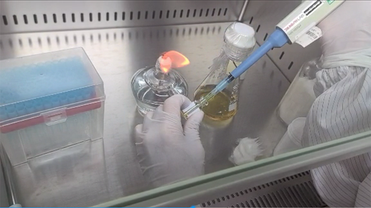 微生物检测 (1).png 微生物检测 (1).png
