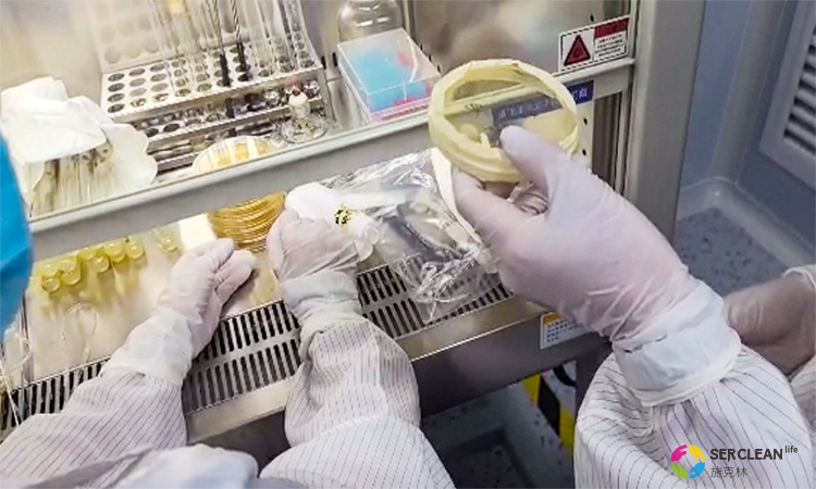 微生物限度检查